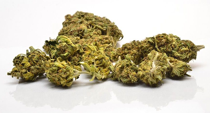 Ermittlungserfolg – Kripo Regensburg stellt über zehn Kilogramm Marihuana sicher – zwei Haftbefehle