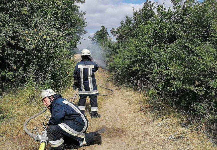 Brand eines Bahndamms und Freiflächen im Bereich zwischen Hiltersdorf und Freihöls