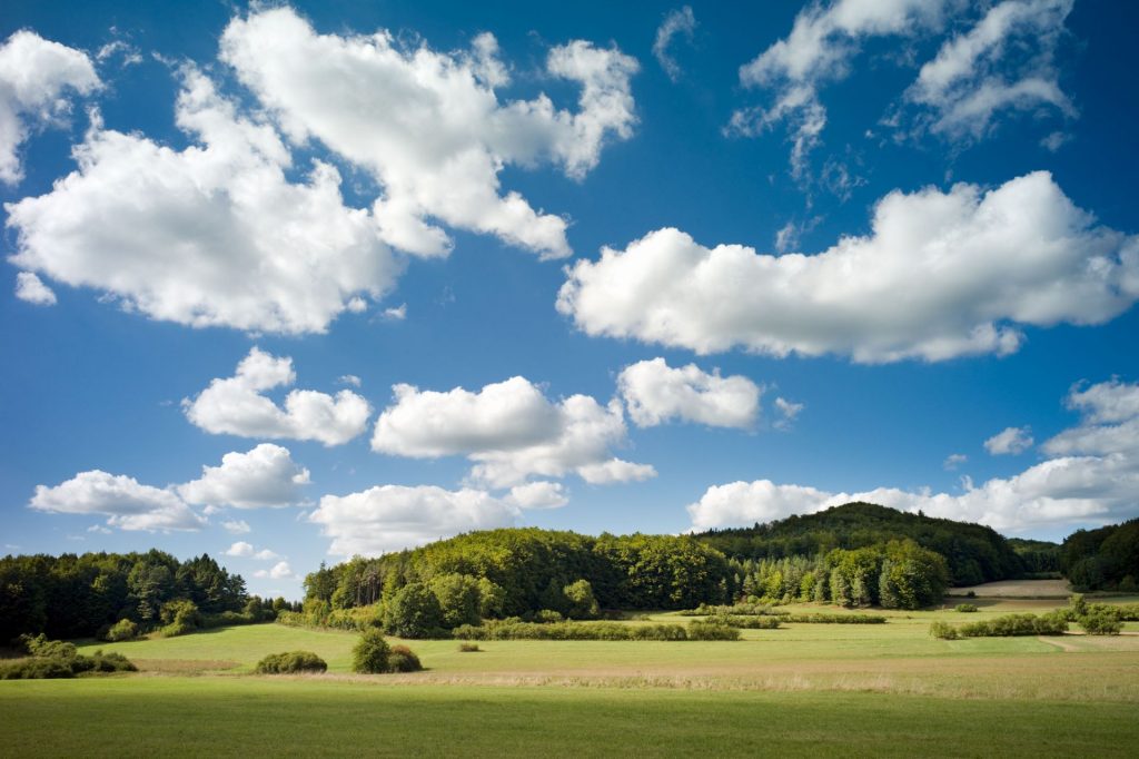 Die unberührte Landschaft im Amberg-Sulzbacher Land genießen, fotografieren und gewinnen. Beim Instawalk des Amberg-Sulzbacher Landes ist das ab sofort möglich. Foto: Clemens Zahn