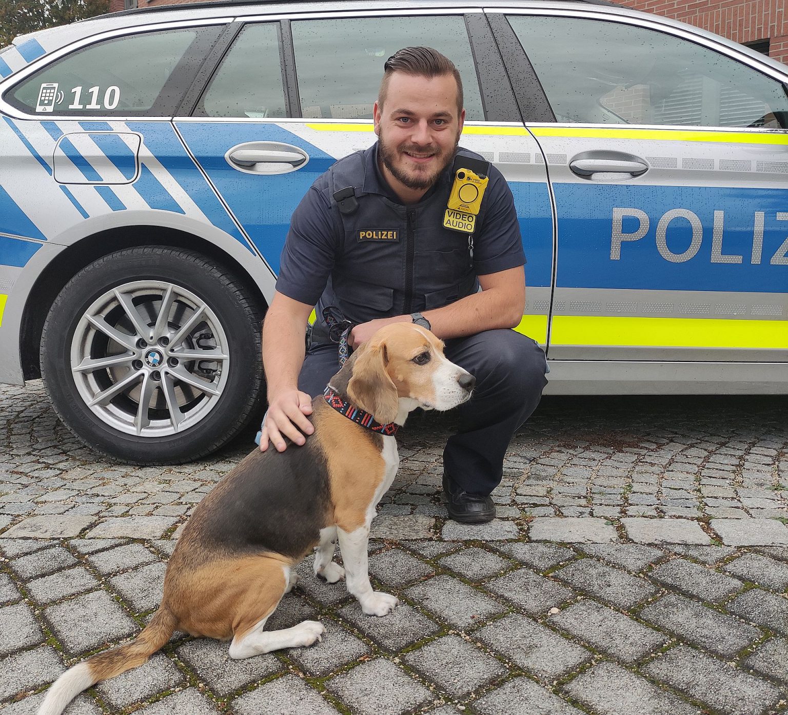 Entlaufenem Hund in Amberg schmeckt Hamburger NachrichtenOberpfalz