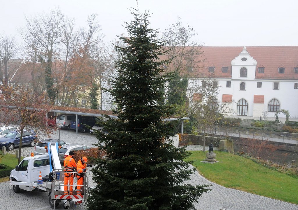 Markus Schwab und Thomas Scharl vom Kreisbauhof Gailoh behängen die Tanne mit einer 300 Meter langen Lichterkette. Landrat Richard Reisinger wünscht schon jetzt allen Landkreisbewohnern „eine besinnliche  Adventszeit“. Foto: Martina Beierl